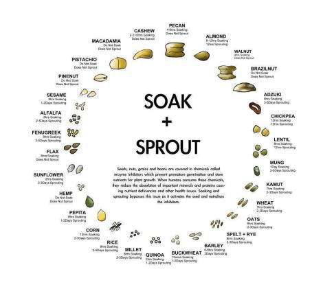 SOAK & SPROUT CHART